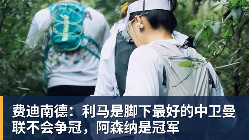 费迪南德：利马是脚下最好的中卫曼联不会争冠，阿森纳是冠军